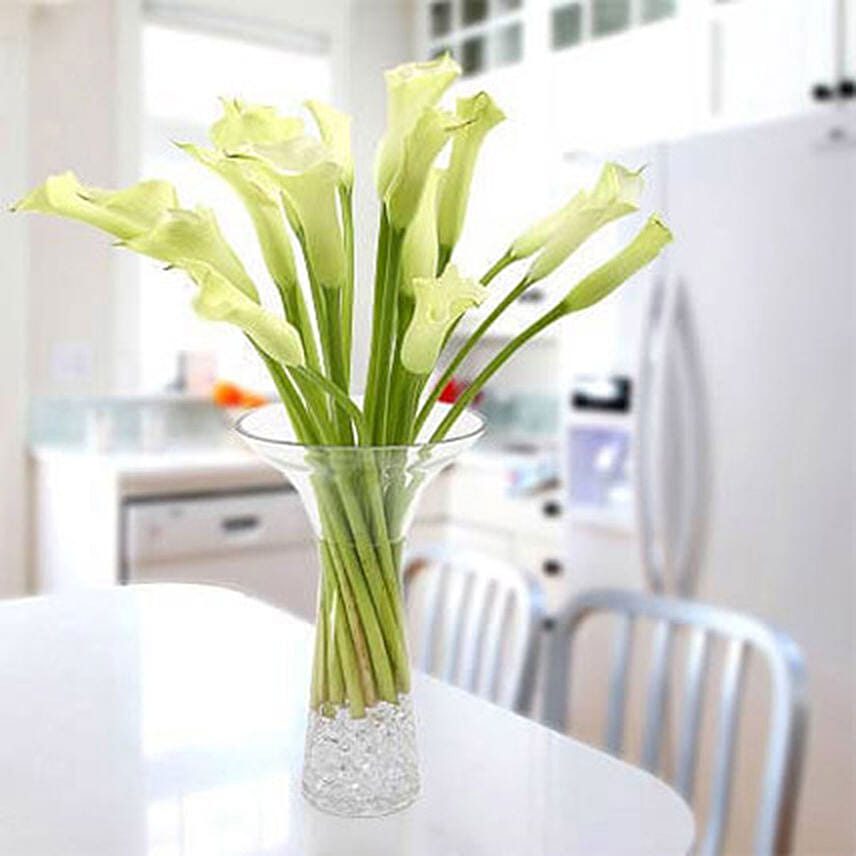 Gracious Lily: Calla Lily Flowers