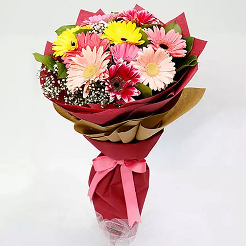 10 Gerbera Flowers Bouquet: Sorry Flowers