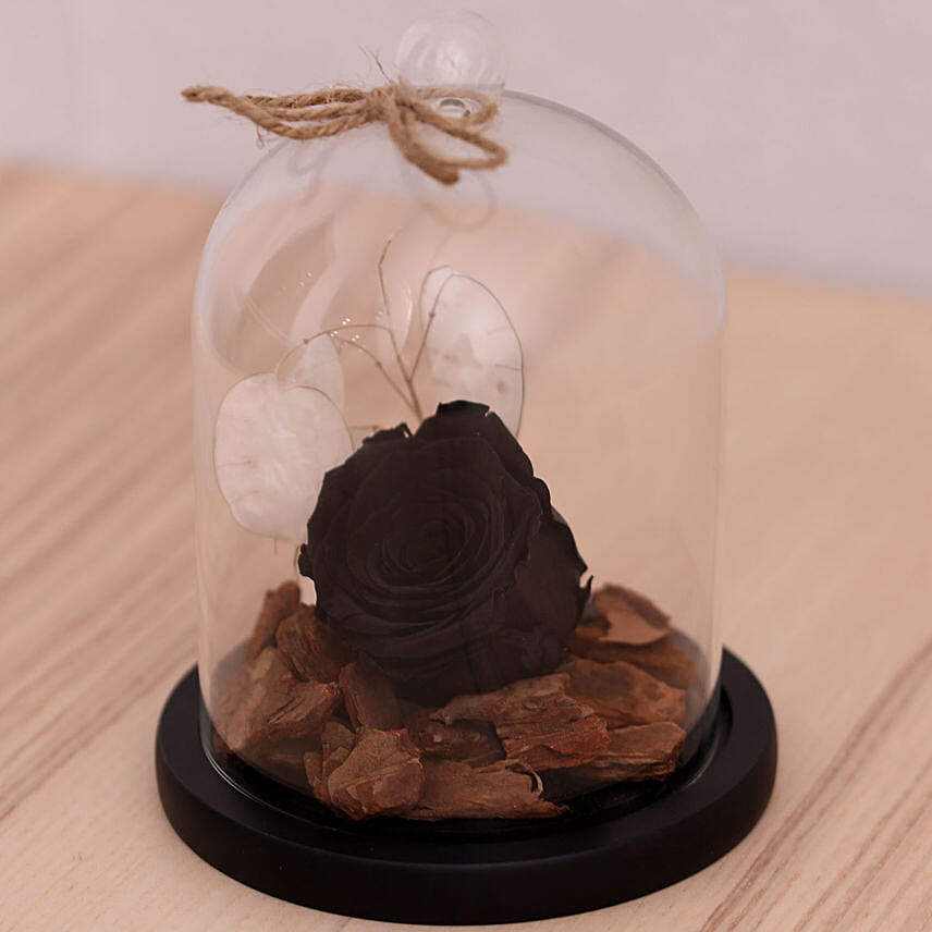 Black Forever Rose In Glass Dome: Preserved Roses