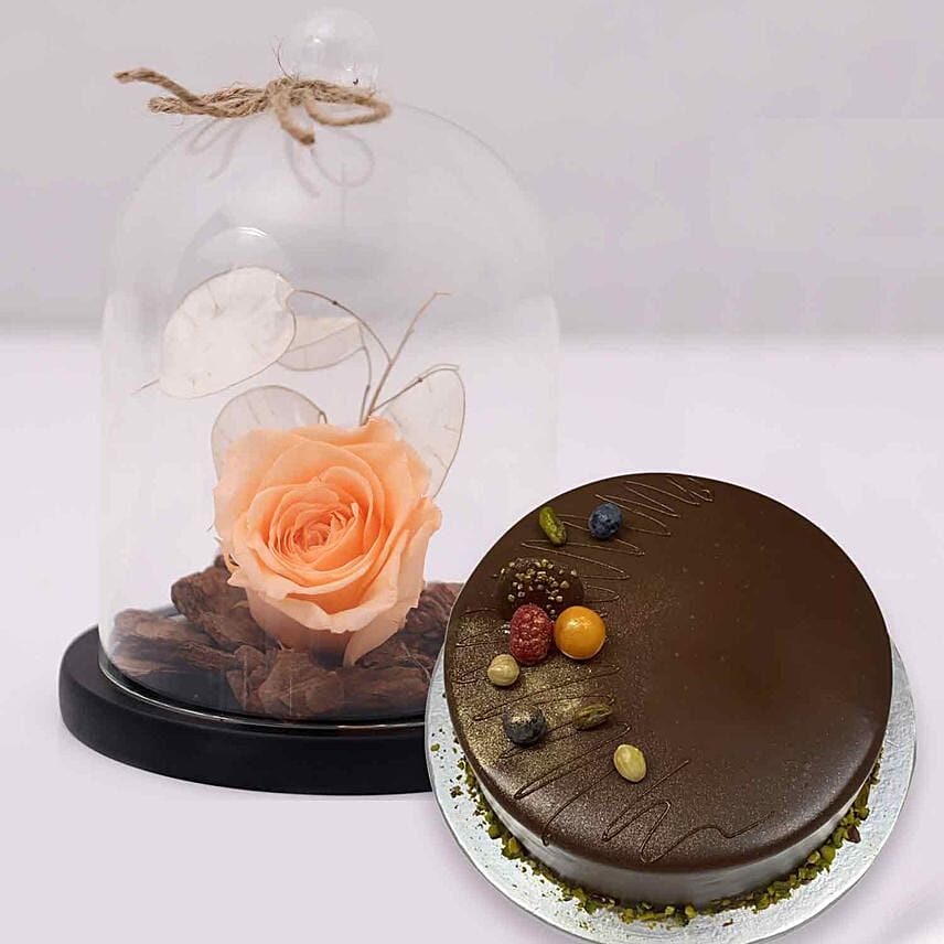 Chocolate Cake & Peach Forever Rose In Glass Dome: Flowers With Cake 