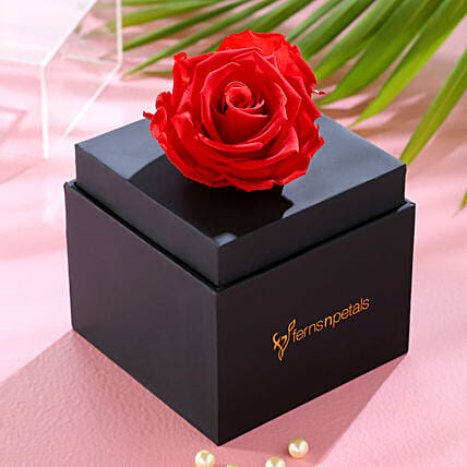 Forever Red Rose With Black Box: Birthday Flowers