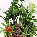 Beautiful Green Garden Basket