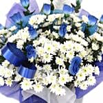 Beautiful Blue Roses