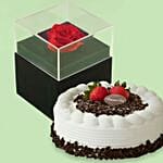 Forever Red Rose With Black Box & Black Forest Cake