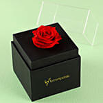 Forever Red Rose With Black Box & Black Forest Cake