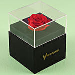 Forever Red Rose With Black Box & Black Forest Cake