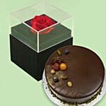 Forever Red Rose With Black Box & Chocolate Cake