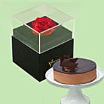 Forever Red Rose With Black Box And Chocolate Cake