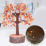 Handcrafted Agate Stone Wish Tree with Chocolate Cake